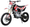 PITBIKE 250	
